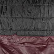 EQUITHÈME Couverture d'Extérieur Tyrex 1200D 50g Standard Bordeaux EQUITHÈME Couverture d'Extérieur Tyrex 1200D 50g Standard Bordeaux
