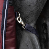 EQUITHÈME Couverture d'Extérieur Tyrex 1200D 0g High Neck Bordeaux EQUITHÈME Couverture d'Extérieur Tyrex 1200D 0g High Neck Bordeaux