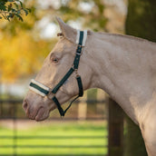 Agradi Horse Licol First Fir Green Agradi Horse Licol First Fir Green