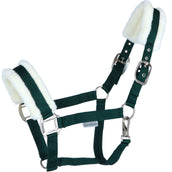 Agradi Horse Licol First Fir Green Agradi Horse Licol First Fir Green