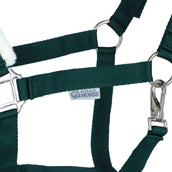 Agradi Horse Licol First Fir Green Agradi Horse Licol First Fir Green