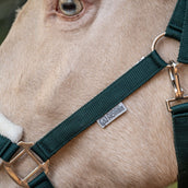 Agradi Horse Licol First Fir Green Agradi Horse Licol First Fir Green