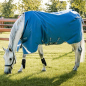 Horseware Therapy Turnout Ionic 100g Bleu Impérial/Argent/Marine Horseware Therapy Turnout Ionic 100g Bleu Impérial/Argent/Marine