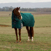 WeatherBeeta ComFiTec Plus Dynamic Turnout Detach-A-Neck 100g Forest Green/Navy WeatherBeeta ComFiTec Plus Dynamic Turnout Detach-A-Neck 100g Forest Green/Navy