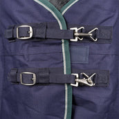 WeatherBeeta ComFiTec Plus Dynamic Turnout Detach-A-Neck 100g Navy/Forest Green WeatherBeeta ComFiTec Plus Dynamic Turnout Detach-A-Neck 100g Navy/Forest Green
