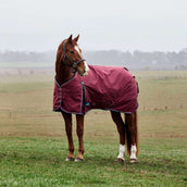 WeatherBeeta ComFiTec Prelim Turnout 0g Bourgogne/Marine WeatherBeeta ComFiTec Prelim Turnout 0g Bourgogne/Marine