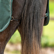 Agradi Horse Couvre-reins 1200D Bande Réfléchissante Vert Agradi Horse Couvre-reins 1200D Bande Réfléchissante Vert