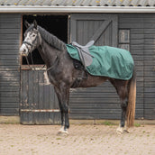 Agradi Horse Couvre-reins 1200D Bande Réfléchissante Vert Agradi Horse Couvre-reins 1200D Bande Réfléchissante Vert