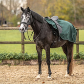 Agradi Horse Couvre-reins 1200D Bande Réfléchissante Vert Agradi Horse Couvre-reins 1200D Bande Réfléchissante Vert