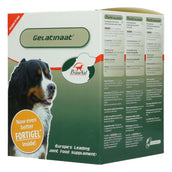 Primeval Gelatinate Chien Primeval Gelatinate Chien