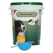 Primeval Gelatinate Chien Primeval Gelatinate Chien