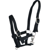 Harry's Horse Licol pour Poulain Noir Harry's Horse Licol pour Poulain Noir