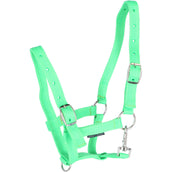 Harry's Horse Licol pour Poulain Limette doux Harry's Horse Licol pour Poulain Limette doux