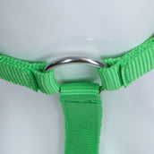 HKM Licol Stars Economy Vert clair HKM Licol Stars Economy Vert clair
