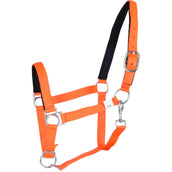 HKM Licol Stars Softice Néon orange HKM Licol Stars Softice Néon orange