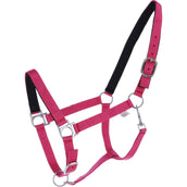 HKM Licol Stars Softice Rose HKM Licol Stars Softice Rose