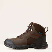 Ariat Chaussures d’extérieur Skyline Mid Waterproof Femme Marron chocolat Ariat Chaussures d’extérieur Skyline Mid Waterproof Femme Marron chocolat
