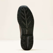 Ariat Bottes d'Équitation Telluride Tall H2O Marron foncé Ariat Bottes d'Équitation Telluride Tall H2O Marron foncé