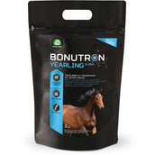 Audevard Bonutron Yearling Audevard Bonutron Yearling