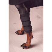 Back on Track Protège-Tendons avec Velcro Chien Noir Back on Track Protège-Tendons avec Velcro Chien Noir