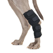 Back on Track Protège-Talon Velcro Chien Noir Back on Track Protège-Talon Velcro Chien Noir