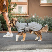 Back on Track Couverture pour Chien Nella All-Round Coat Gris Back on Track Couverture pour Chien Nella All-Round Coat Gris
