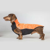 Back on Track Couverture pour Chien Eddie High Visibility Jumper Petite Orange Back on Track Couverture pour Chien Eddie High Visibility Jumper Petite Orange