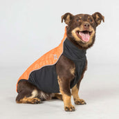Back on Track Couverture pour Chien Eddie High Visibility Jumper Petite Orange Back on Track Couverture pour Chien Eddie High Visibility Jumper Petite Orange