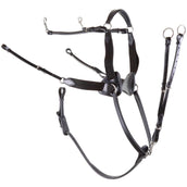 Premiere Collier de Chasse 5 Points Élastique Noir Premiere Collier de Chasse 5 Points Élastique Noir