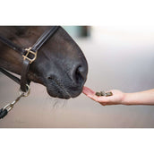 Bense & Eicke Friandises pour Cheval Wiesen Happies Baie Sauvage Herbes Bense & Eicke Friandises pour Cheval Wiesen Happies Baie Sauvage Herbes