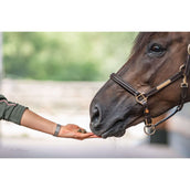 Bense & Eicke Friandises pour Cheval Wiesen Happies Baie Sauvage Herbes Bense & Eicke Friandises pour Cheval Wiesen Happies Baie Sauvage Herbes