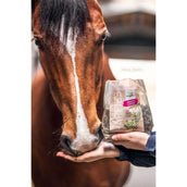 Bense & Eicke Friandises pour Cheval Wiesen Happies Graines de Lin Rose Musquée Bense & Eicke Friandises pour Cheval Wiesen Happies Graines de Lin Rose Musquée