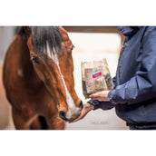 Bense & Eicke Friandises pour Cheval Wiesen Happies Graines de Lin Rose Musquée Bense & Eicke Friandises pour Cheval Wiesen Happies Graines de Lin Rose Musquée