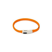 Beeztees Collier pour Chien Safety Gear Dogini Orange Beeztees Collier pour Chien Safety Gear Dogini Orange