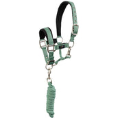 BR Ensemble Licol Mini Horse Feldspar BR Ensemble Licol Mini Horse Feldspar