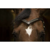 Norton Frontal Diamond Havane Norton Frontal Diamond Havane