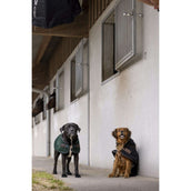 Diego & Louna Couverture pour Chien Polar Noir Diego & Louna Couverture pour Chien Polar Noir