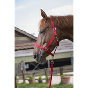 Riding World Ensemble Licol Club avec Corde Rouge Riding World Ensemble Licol Club avec Corde Rouge