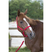 Riding World Ensemble Licol Club avec Corde Rouge Riding World Ensemble Licol Club avec Corde Rouge