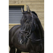Riding World Bride avec Muserolle Combinée Havane Riding World Bride avec Muserolle Combinée Havane