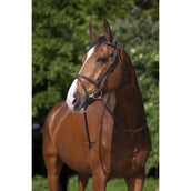 Riding World Bride avec Muserolle Combinée Havane Riding World Bride avec Muserolle Combinée Havane