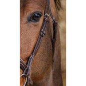 Norton Bride Pro Miss Havane Norton Bride Pro Miss Havane