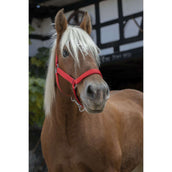 Norton Licol Pro Rouge Norton Licol Pro Rouge