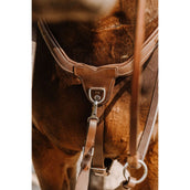Norton Collier de Chasse 5 Points Havane Norton Collier de Chasse 5 Points Havane