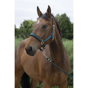 Norton Ensemble Licol Large Vert Foncé Norton Ensemble Licol Large Vert Foncé