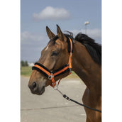 EQUITHÈME Licol Mouton Nylon Orange/noir EQUITHÈME Licol Mouton Nylon Orange/noir