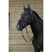 Riding World Bride avec Muserolle Combinée Noir Riding World Bride avec Muserolle Combinée Noir