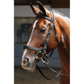 Harry's Horse Licol/Bridon Noir Harry's Horse Licol/Bridon Noir