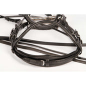 Harry's Horse Bride, Sans Mors et Enrênement Grand Prix Noir Harry's Horse Bride, Sans Mors et Enrênement Grand Prix Noir