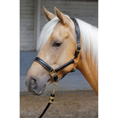 Harry's Horse Licol Cuir avec Jonc Or Harry's Horse Licol Cuir avec Jonc Or